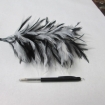 plumes MM710 blanc/noir